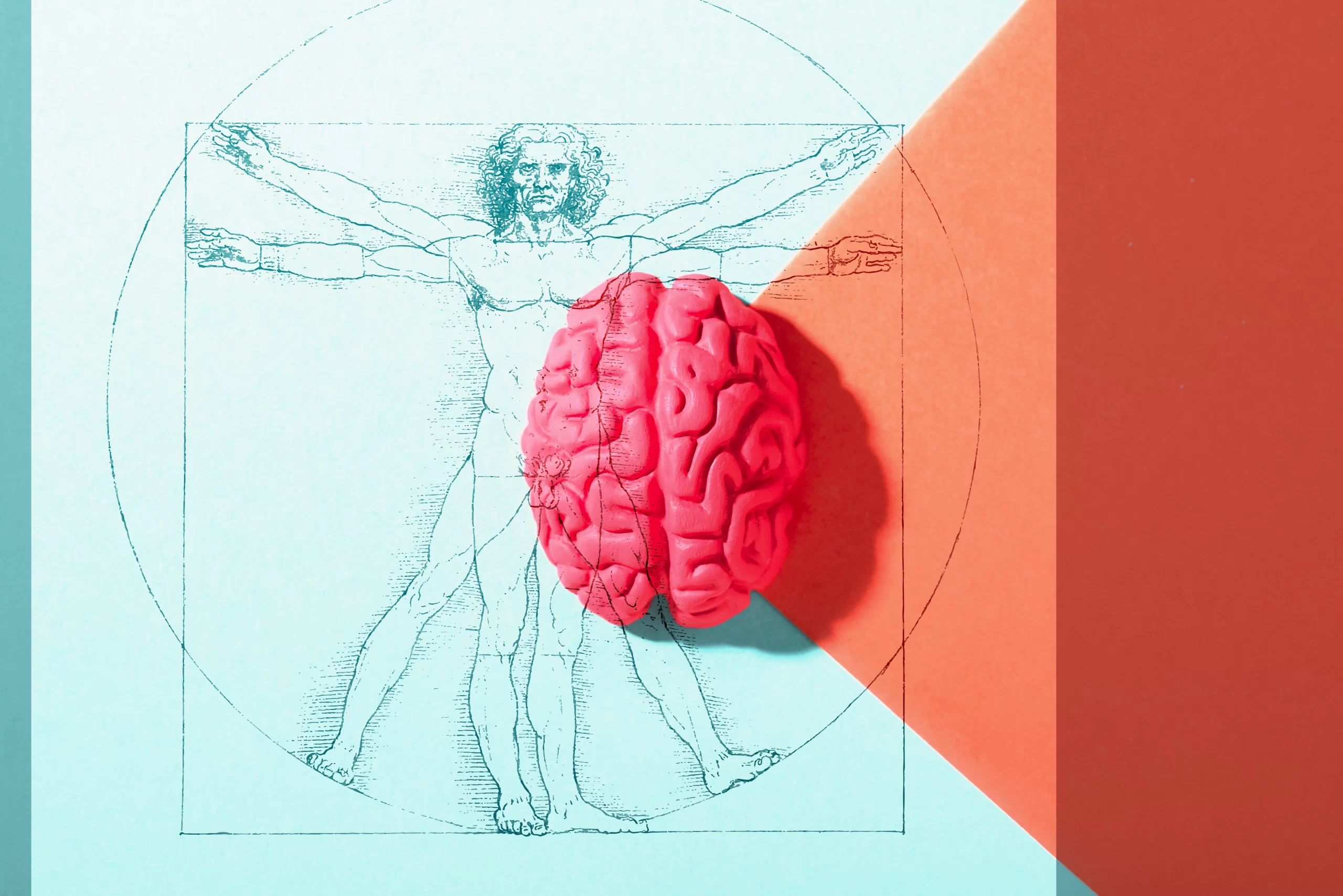 Mind & Body
